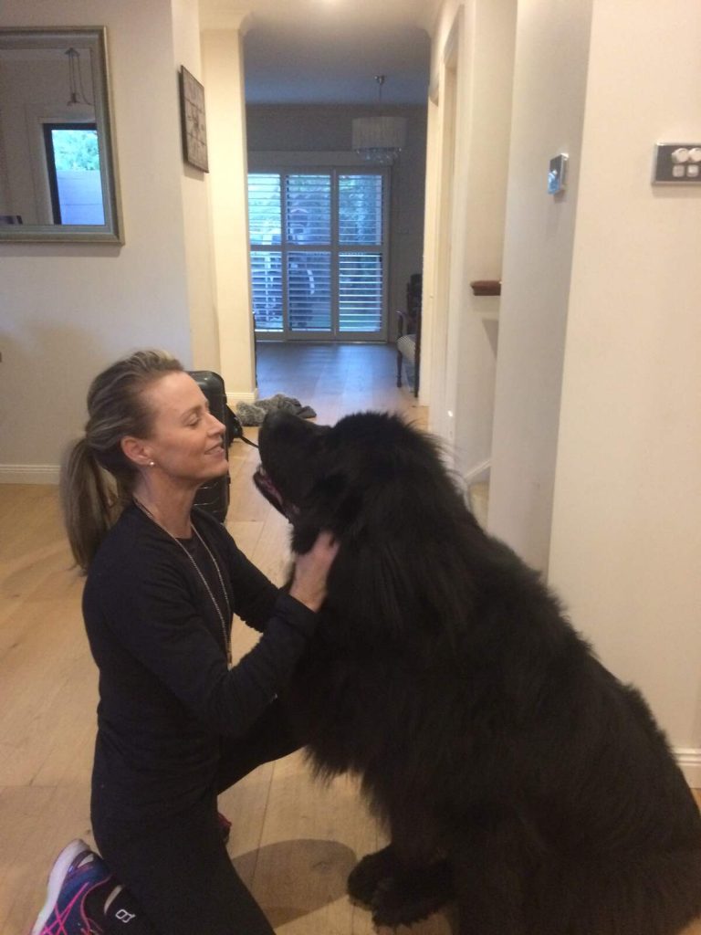 puppy school lower mountains