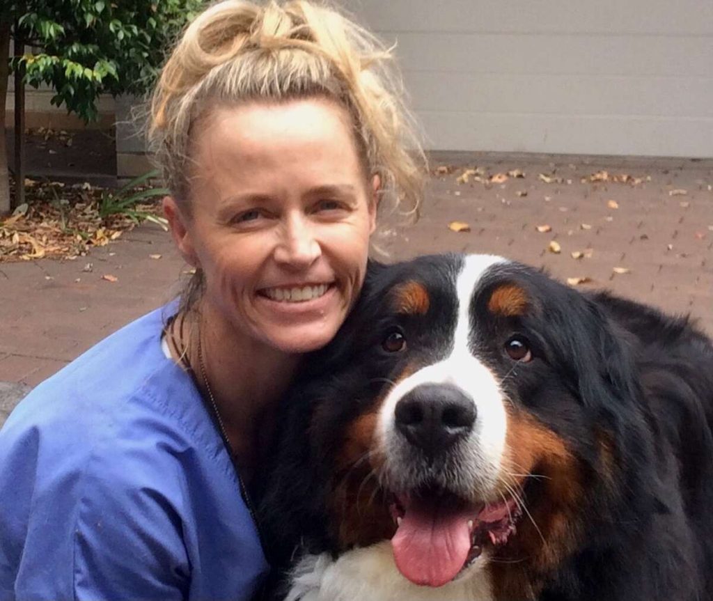 puppy training blue mountains